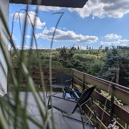 Dein Bergnest アパート メーデバッハ