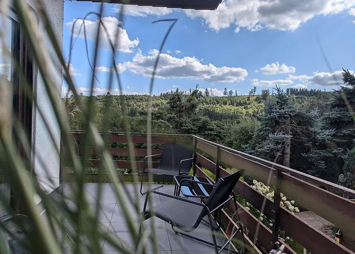 Dein Bergnest Appartement Medebach